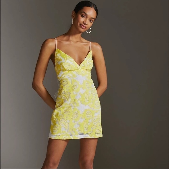 Anthropologie Maeve Strappy Lace Mini Dress. New with Tags - size 12 - Picture 1 of 13